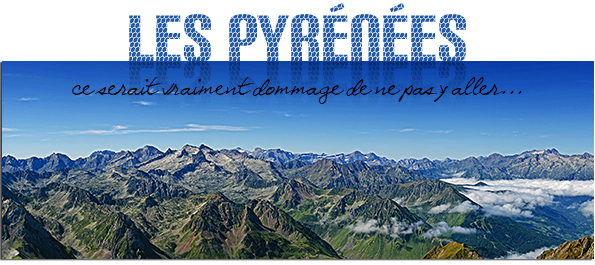 pyreneesété2013